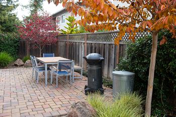 Bbq/picnic area